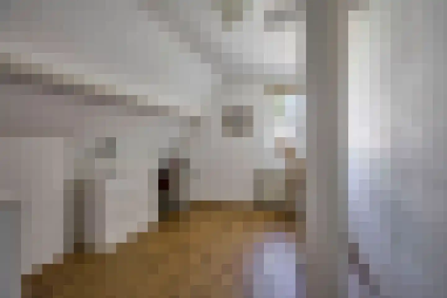Wegedoornweg 4 Haarlem thumbnail 23