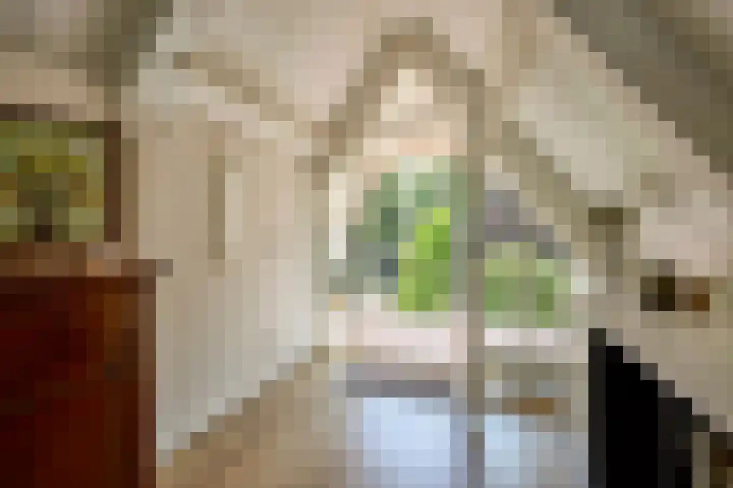 Wegedoornweg 4 Haarlem thumbnail 25