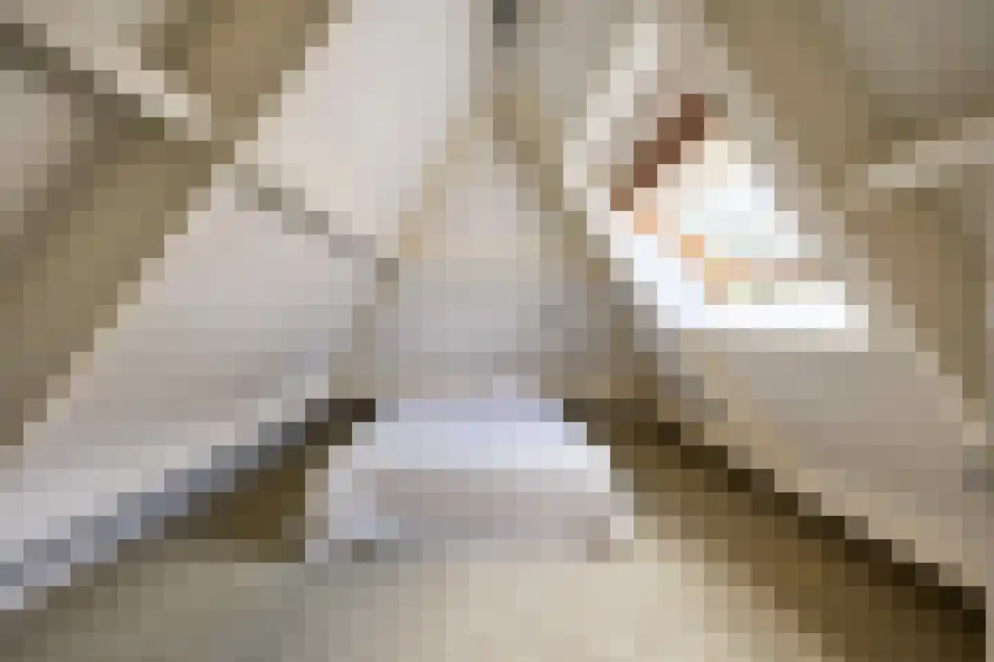 Wegedoornweg 4 Haarlem thumbnail 27
