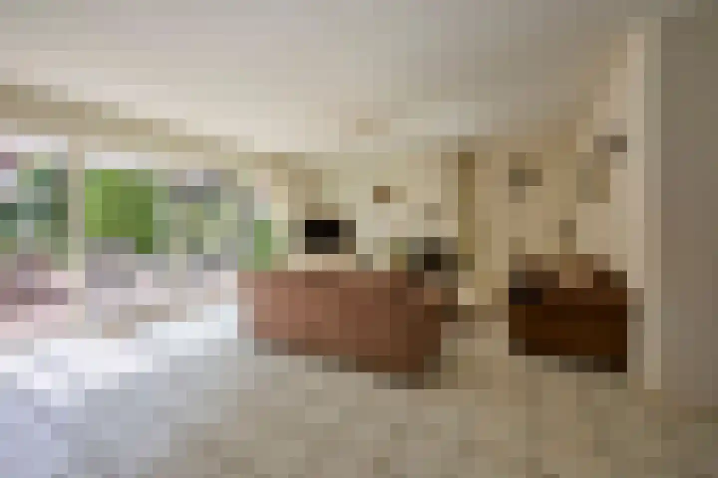 Wegedoornweg 4 Haarlem thumbnail 4