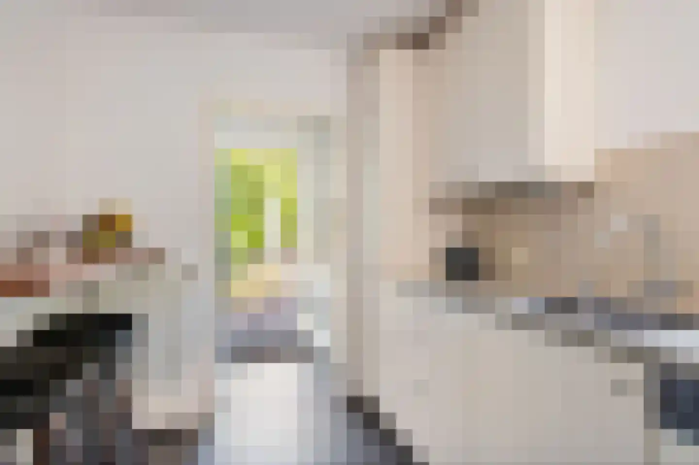 Wegedoornweg 5 Haarlem thumbnail 16