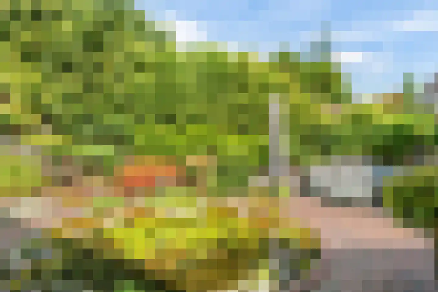Wegedoornweg 5 Haarlem thumbnail 19