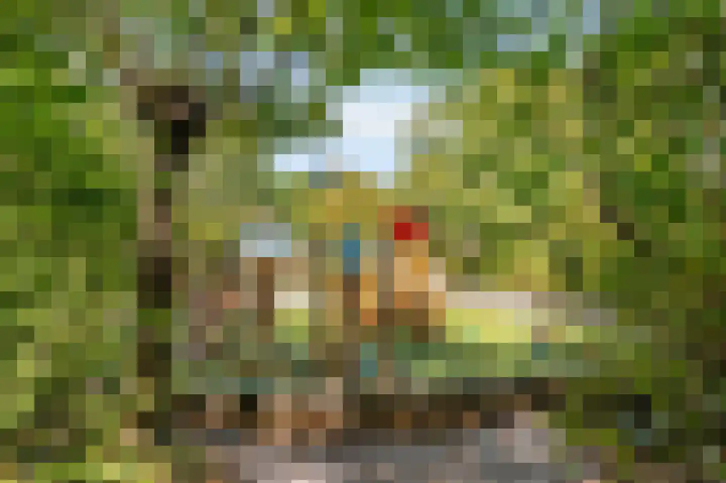 Wegedoornweg 5 Haarlem thumbnail 33
