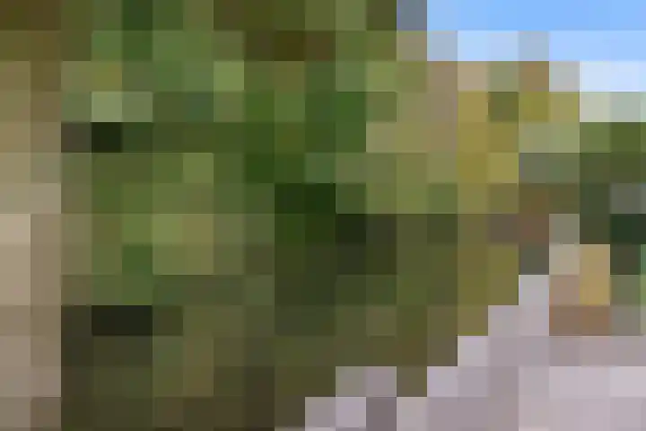Wegelingpark 44 Capelle aan den IJssel thumbnail 38
