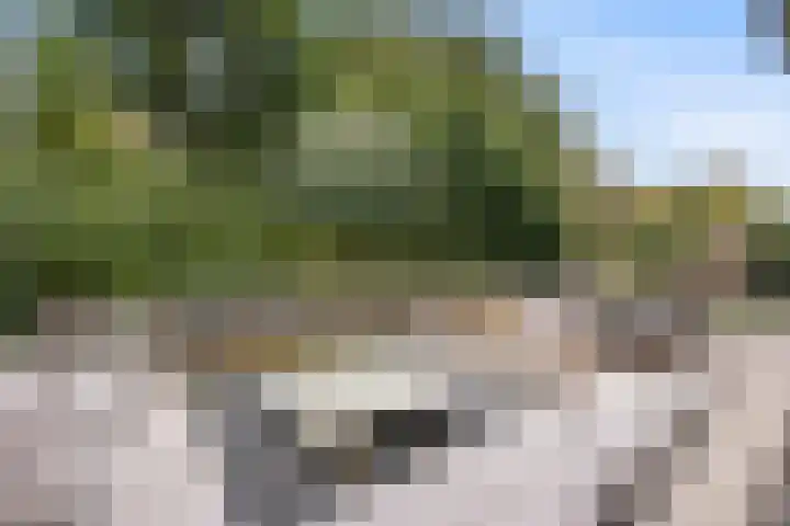 Wegelingpark 44 Capelle aan den IJssel thumbnail 4