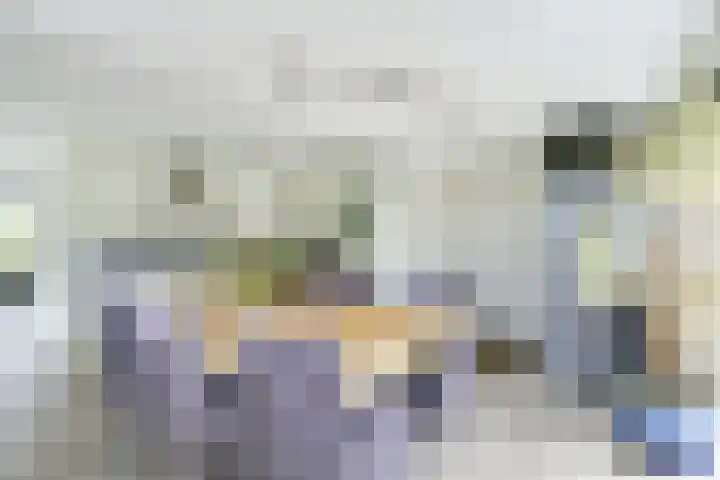 Wegenbouw 54 Houten thumbnail 16