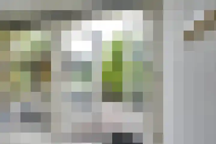 Wegenbouw 54 Houten thumbnail 17
