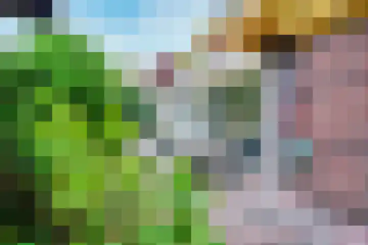 Wegenbouw 54 Houten thumbnail 19