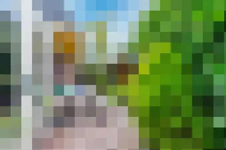 Wegenbouw 54 Houten thumbnail 20