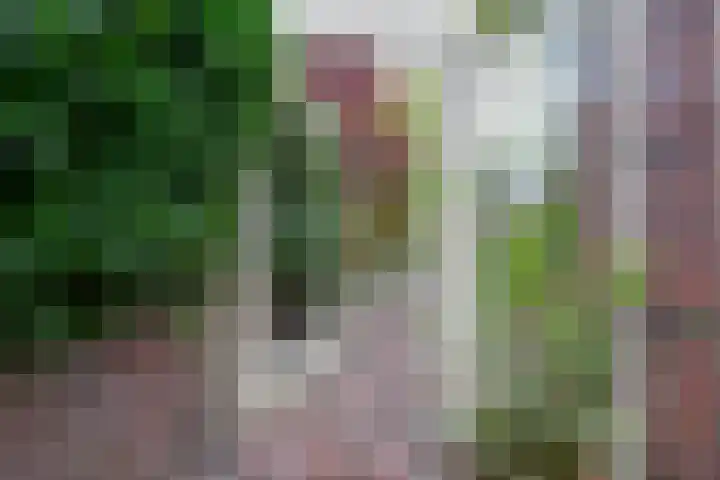 Wegenbouw 54 Houten thumbnail 21