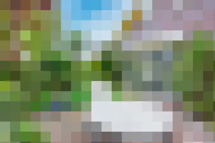 Wegenbouw 54 Houten thumbnail 22