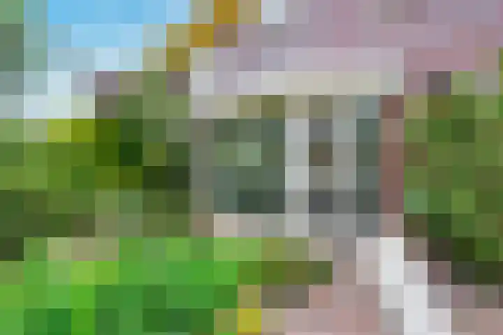 Wegenbouw 54 Houten thumbnail 23