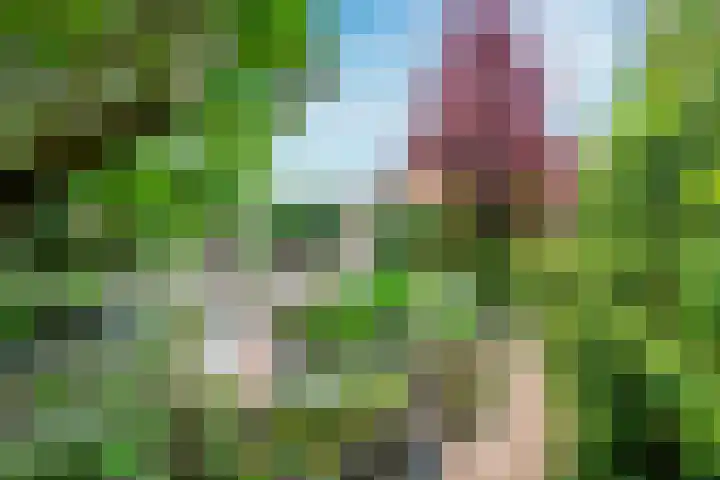 Wegenbouw 54 Houten thumbnail 24