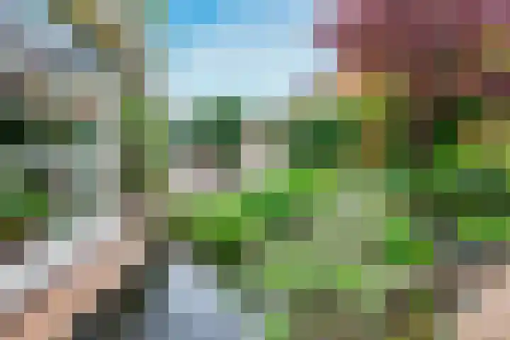 Wegenbouw 54 Houten thumbnail 25