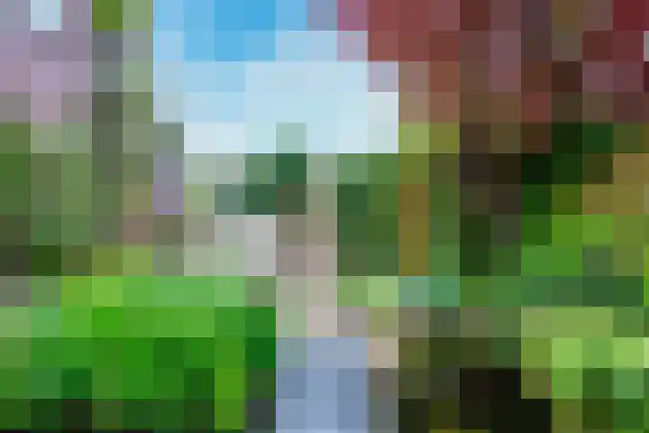 Wegenbouw 54 Houten thumbnail 26