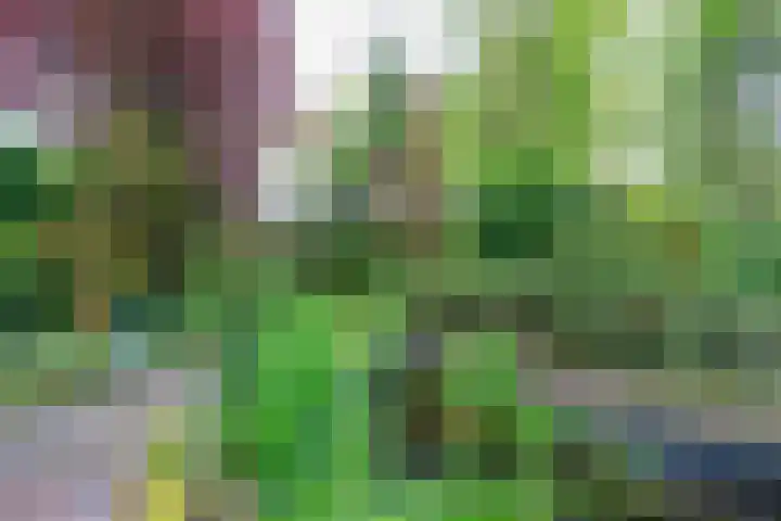 Wegenbouw 54 Houten thumbnail 27