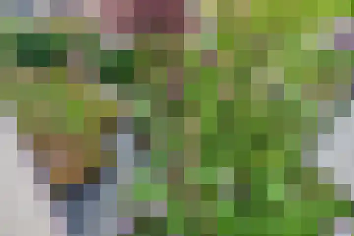 Wegenbouw 54 Houten thumbnail 28