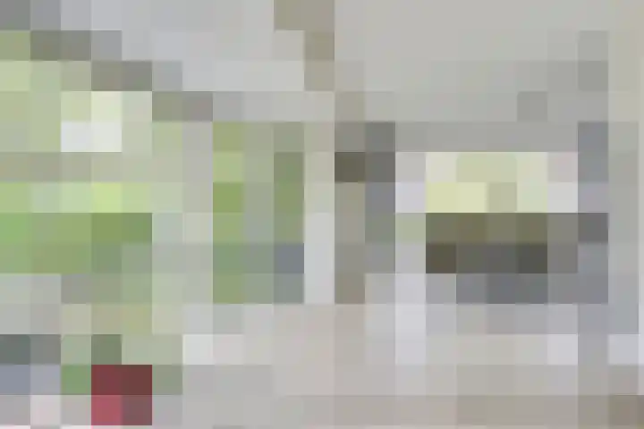 Wegenbouw 54 Houten thumbnail 4