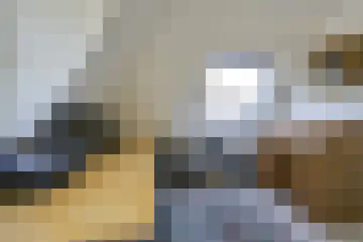 Wegenbouw 54 Houten thumbnail 46