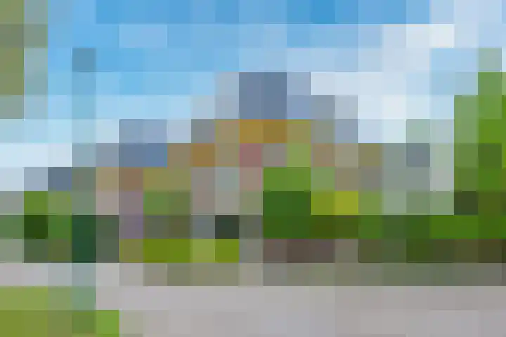 Wegenbouw 54 Houten thumbnail 52