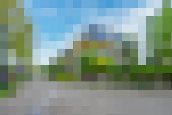 Wegenbouw 54 Houten thumbnail 53