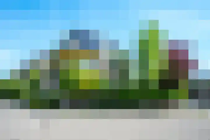 Wegenbouw 54 Houten thumbnail 58