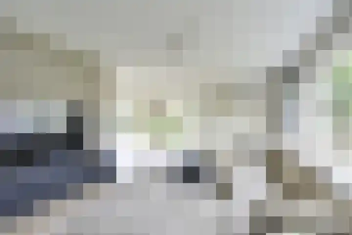 Wegenbouw 54 Houten thumbnail 6