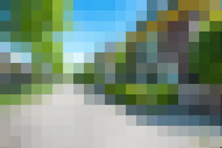Wegenbouw 54 Houten thumbnail 60