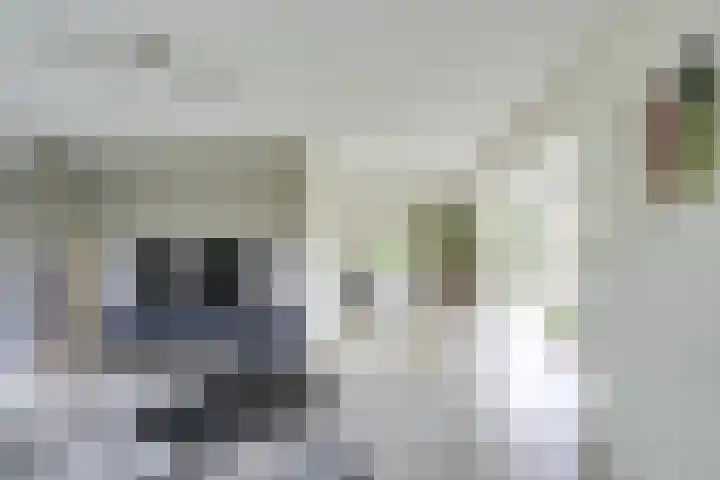 Wegenbouw 54 Houten thumbnail 7