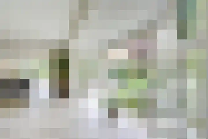 Wegenbouw 54 Houten thumbnail 9