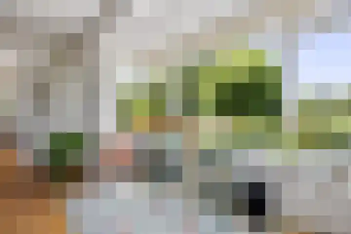Wegenschouw 7 Huissen thumbnail 12