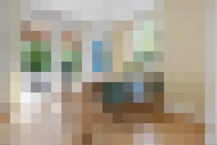 Wegenschouw 7 Huissen thumbnail 14