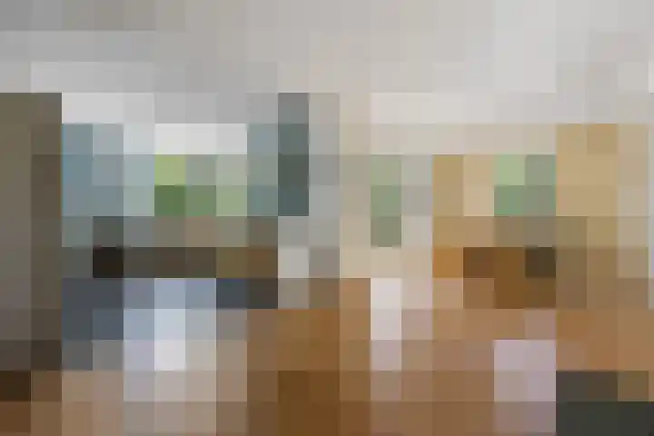 Wegenschouw 7 Huissen thumbnail 17