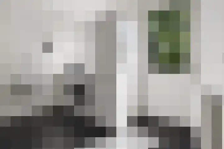 Wegenschouw 7 Huissen thumbnail 22
