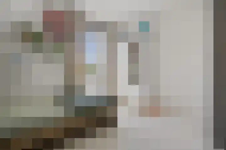 Wegenschouw 7 Huissen thumbnail 25