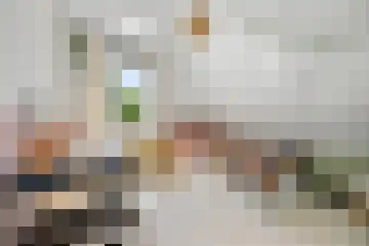Wegenschouw 7 Huissen thumbnail 27