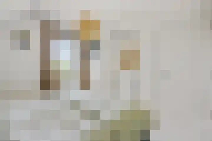 Wegenschouw 7 Huissen thumbnail 33
