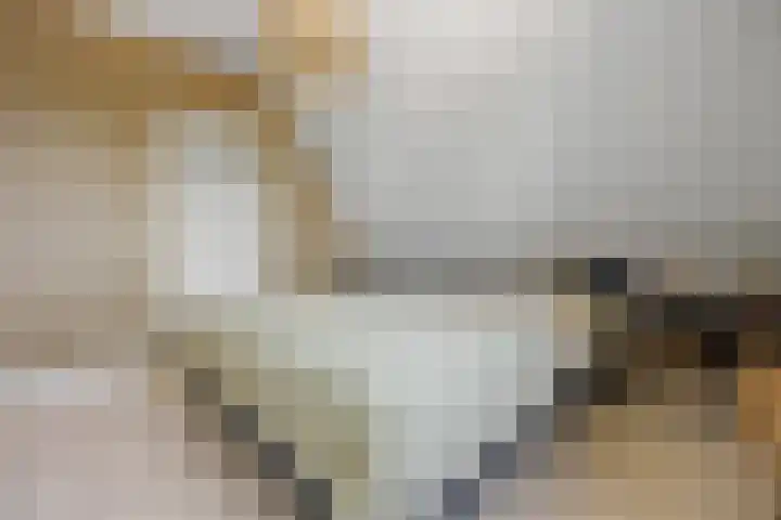Wegenschouw 7 Huissen thumbnail 34