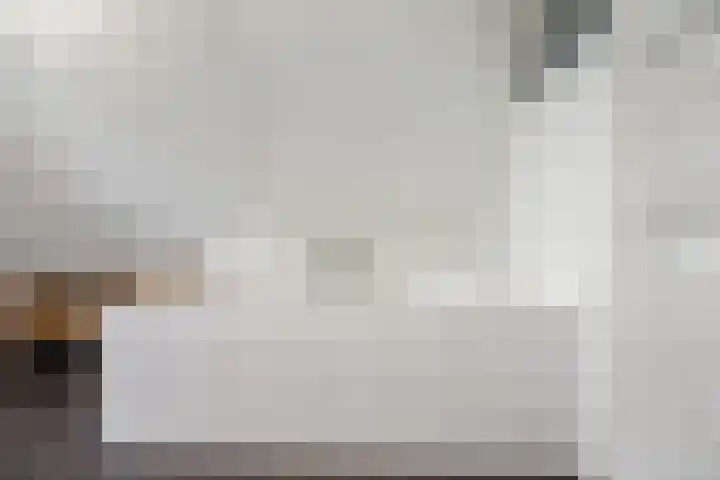 Wegenschouw 7 Huissen thumbnail 35