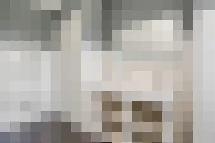 Wegenschouw 7 Huissen thumbnail 37