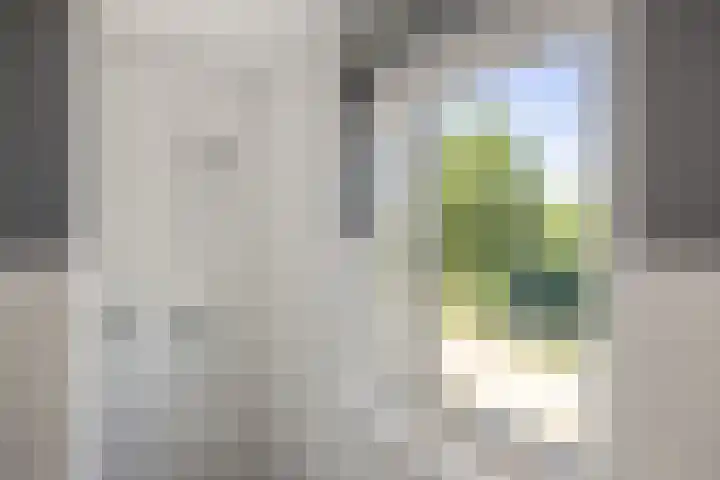 Wegenschouw 7 Huissen thumbnail 38