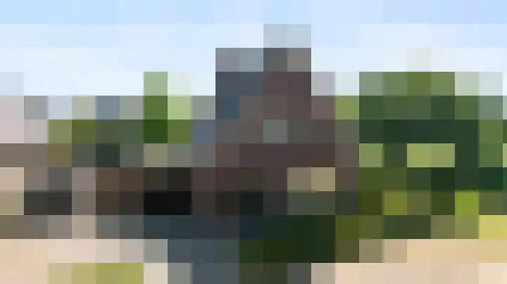 Wegenschouw 7 Huissen thumbnail 4