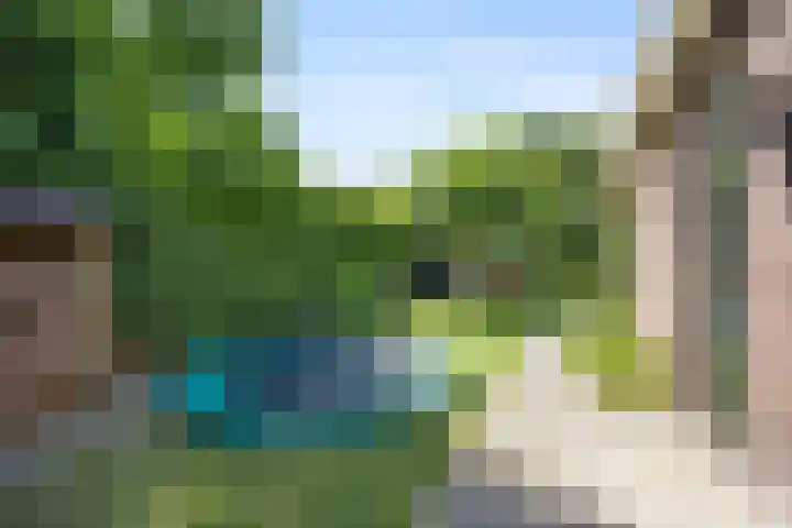 Wegenschouw 7 Huissen thumbnail 45