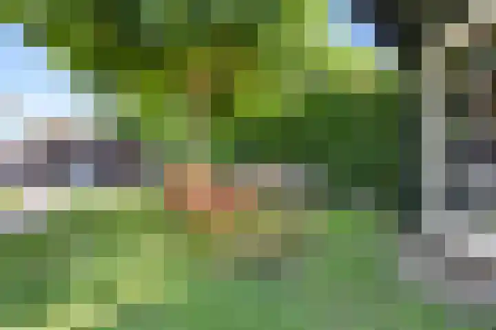 Wegenschouw 7 Huissen thumbnail 46