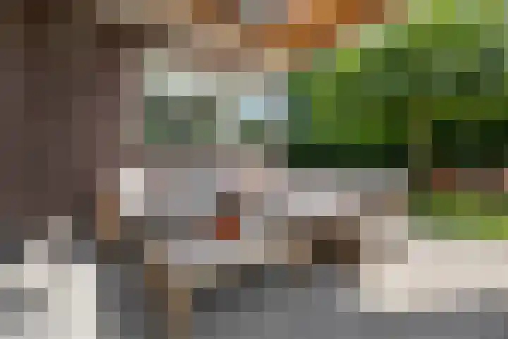 Wegenschouw 7 Huissen thumbnail 47