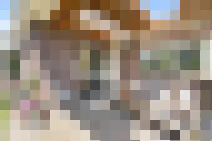Wegenschouw 7 Huissen thumbnail 48