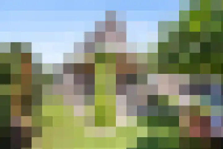 Wegenschouw 7 Huissen thumbnail 49
