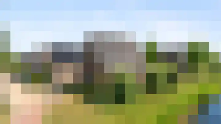 Wegenschouw 7 Huissen thumbnail 5
