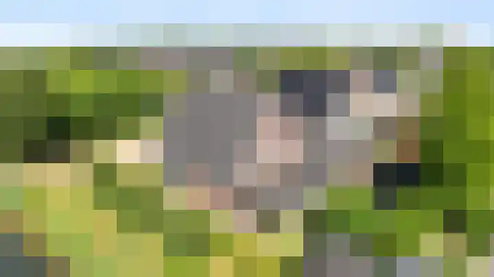 Wegenschouw 7 Huissen thumbnail 55