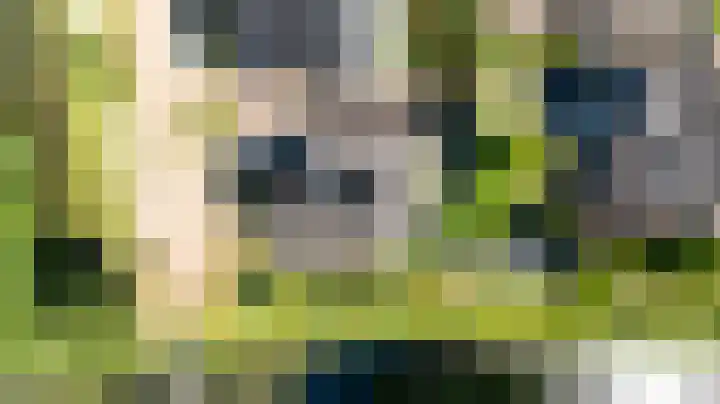 Wegenschouw 7 Huissen thumbnail 56